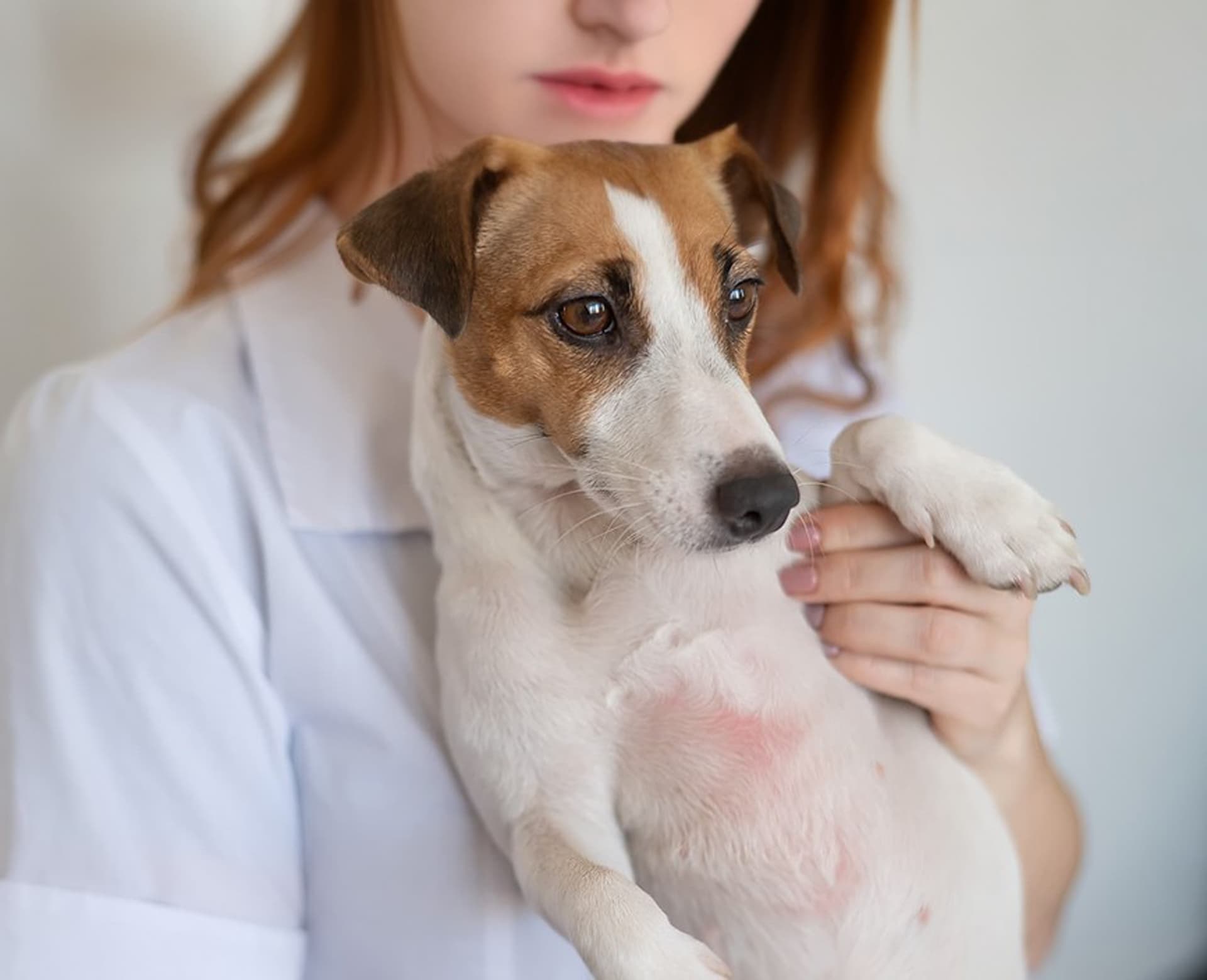 Centro veterinario dermatológico en Boiro