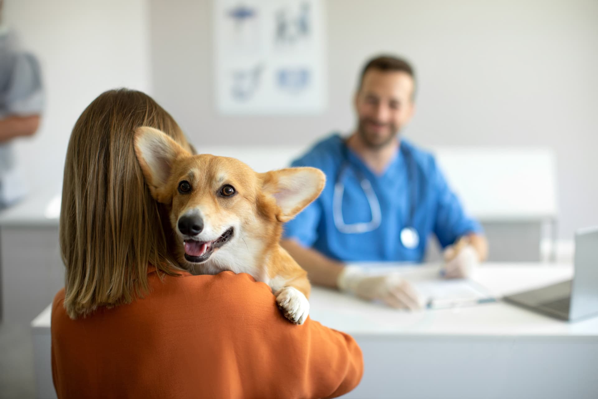 Laboratorio veterinario en Boiro