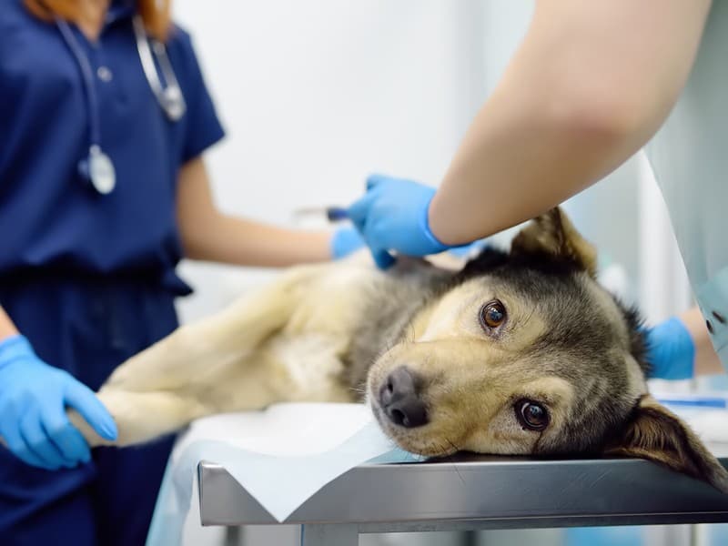 Diagnóstico por imagen