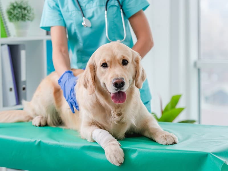 Descubre todos los servicios de nuestra clínica