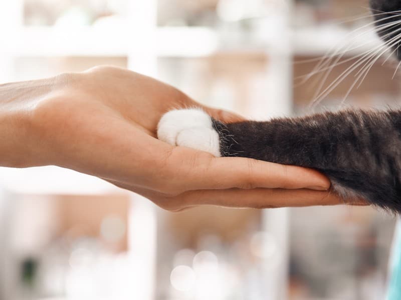 Diagnósticos precisos gracias a la radiología